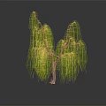 Weeping Willow With Long Green Drooping Branches And Slender Trunk On Dark Surface 3d model