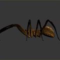 Detailed Brown Spider With Carved Texture Body And Long Legs Isolated On Dark Background