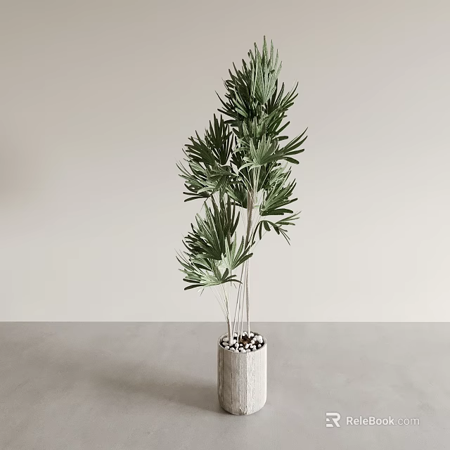 Green Potted Plant With Long Slender Leaves In Concrete Pot On Minimalist Tabletop 3d model 