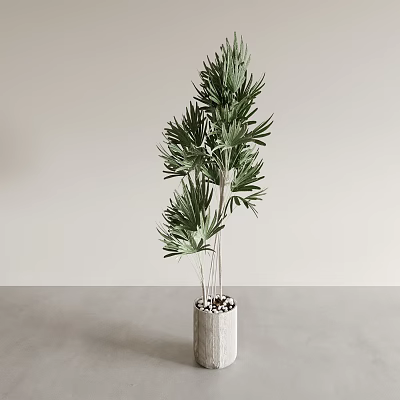 Green Potted Plant With Long Slender Leaves In Concrete Pot On Minimalist Tabletop 3d model