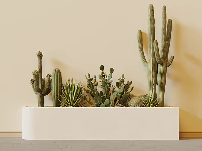 Elegant Potted Cacti And Succulents In White Rectangular Planter Against Beige Wall 3d model