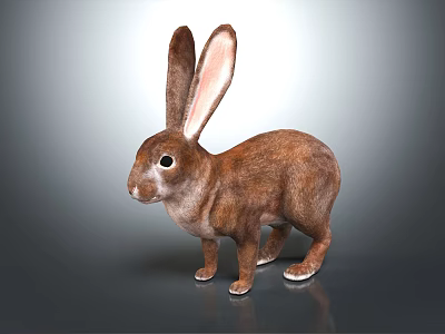 Brown Rabbit With Long Ears And Fluffy Fur On Gray Reflective Surface 3d model