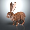 Brown Rabbit With Long Ears And Fluffy Fur On Gray Reflective Surface 3d model