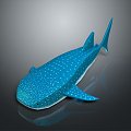 whale cartoon whale mammal marine mammal marine animal fish freshwater fish marine fish 3d model