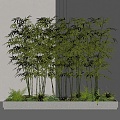 Bamboo 3d model