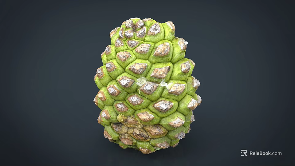 Fresh Custard Apple Fruit With Green And Brown Scaly Surface In Close Up View 3d model 