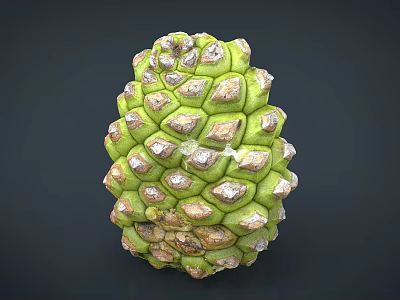 Fresh Custard Apple Fruit With Green And Brown Scaly Surface In Close Up View 3d model