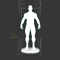Male Muscular Figure Model With White Sculpture Base And Detailed Physique