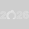 LED Mesh Design 2026 Number Decorative Lights for Festive Decorations