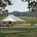 Scenic Campsite With White Tent Grassland Mountain View Trees And Bonfire Gathering