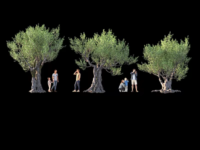 Olive Trees With Group of People Standing And Squatting Under Black Background 3d model