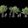 Olive Trees With Group of People Standing And Squatting Under Black Background