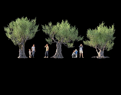 Olive Trees With Group of People Standing And Squatting Under Black Background 3d model