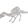 Realistic Full Body Dinosaur Skeleton With Spine Structure For Museum Exhibit 3d model