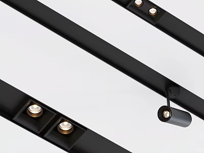 Modern Downlights and Spotlights with Black Track for Interior Ceiling Lighting Design 3d model