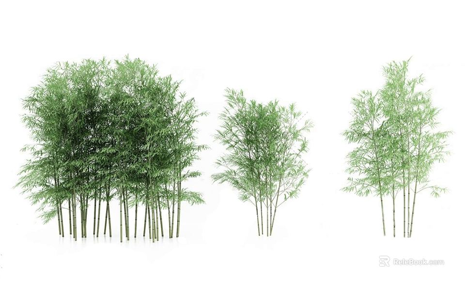 Lush Bamboo Plants With Green Foliage And Slender Tall Stems 3d model 