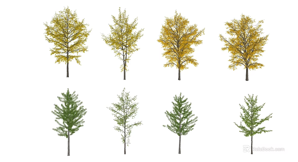 Arbor Trees With Yellow And Green Foliage And Diverse Canopy Shapes 3d model 
