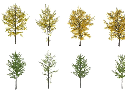 Arbor Trees With Yellow And Green Foliage And Diverse Canopy Shapes 3d model