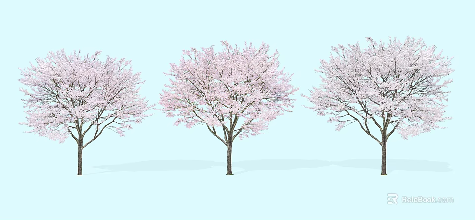 Three Flowering Arbor Trees With Pink Blossoms Against Light Blue Background 3d model 