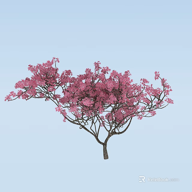 Beautiful Tree with Vibrant Pink Flowers and Elegant Branches Against Blue Sky 3d model 