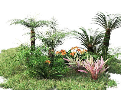 Various Shrubs With Orange Flowers Purple Pink Leaves And Palm Trees In Green Grass 3d model