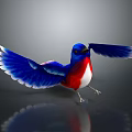 Blue Red White Bird with Spread Wings Standing on Black Background and Reflection 3d model