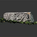 Large Rough Textured Natural Stone Placed on Fresh Green Grass Leaves