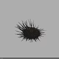 Close Up View Of Brown Sea Urchin With Sharp Black Spines Isolated On Gray Background