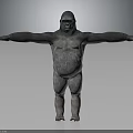 Realistic Gorilla 3D Model in Standing Pose With Arms Outstretched Gray Background 3d model
