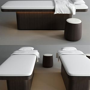 Modern massage bed solid wood massage bed 3d model