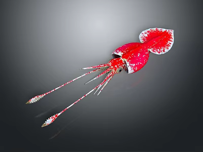 Red Squid With White Spots And Long Tentacles On Dark Background 3d model