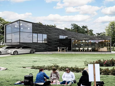 Modern Detached Villa With Black Facade Large Glass Windows And Grass Lawn 3d model