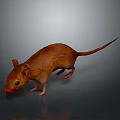 Cartoon Mouse Animated Mouse Grey Mouse Anime Mouse Cartoon Character 3d model