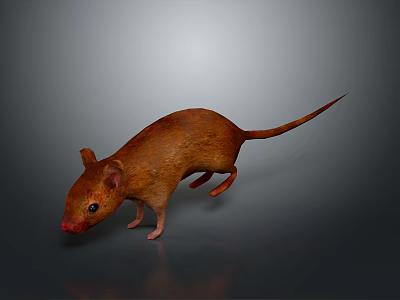 Game Movie Character Brown Mouse 3D Model in Standing Pose With Gray Background Red Nose 3d model