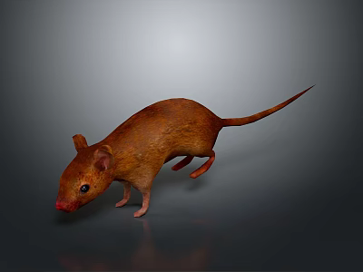 Cartoon Mouse Animated Mouse Grey Mouse Anime Mouse Cartoon Character 3d model