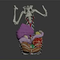 Food Digestion Process In Human Body 3D Model With Skeleton And Organs