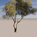 Isolated Arbor With Green Foliage And Brown Trunk On White Background