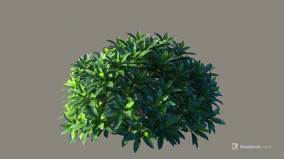 Round Green Shrub With Lush Dense Foliage And Vibrant Green Leaves 3d model 