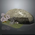 Natural Garden Scene With Large Rock Pink Cherry Blossom Tree Small Pavilion And Green Grass