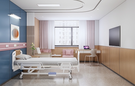 Hospital VIP Ward VIP Single Ward Bed Accompanying Sofa Office Desk and Chair Leisure Sofa 3d model