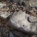 Wood And Stone Natural Materials With Rough Texture In Outdoor Scenery Elements