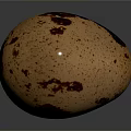 Fresh Quail Egg With Brown Spots On Smooth Surface Against Gray Background With Reflection