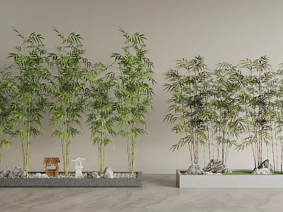 Bamboo Plants In Modern Indoor Landscape With Rocks And Ornaments 3d model