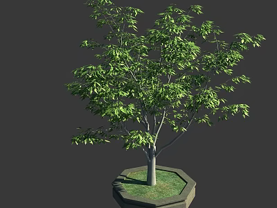 Lush Potted Arbor With Green Leaves Gray Trunk Grass And Hexagonal Pot 3d model
