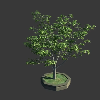 Lush Potted Arbor With Green Leaves Gray Trunk Grass And Hexagonal Pot 3d model