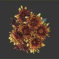 Bouquet of Orange and Red Chrysanthemums in Transparent Vase Against Dark Background