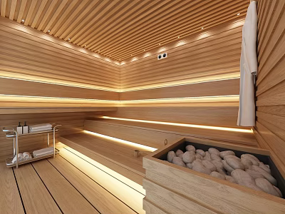Modern Shower Sauna Room With Wooden Paneling Recessed Lighting Benches And Stone Container 3d model