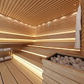 Modern Sauna Room Bathing Sauna Room 3d model