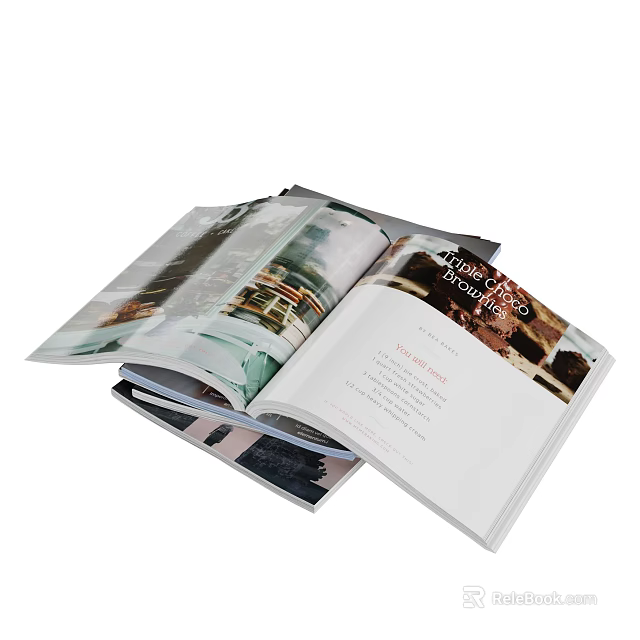 Home Decor Magazine Open Pages With Interior Design Images And Text 3d model 