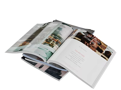 Home Decor Magazine Open Pages With Interior Design Images And Text 3d model